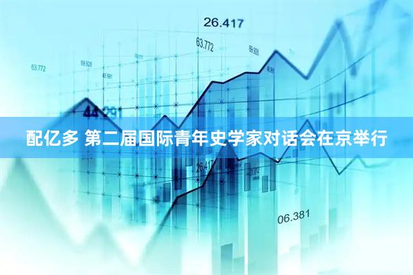 配亿多 第二届国际青年史学家对话会在京举行